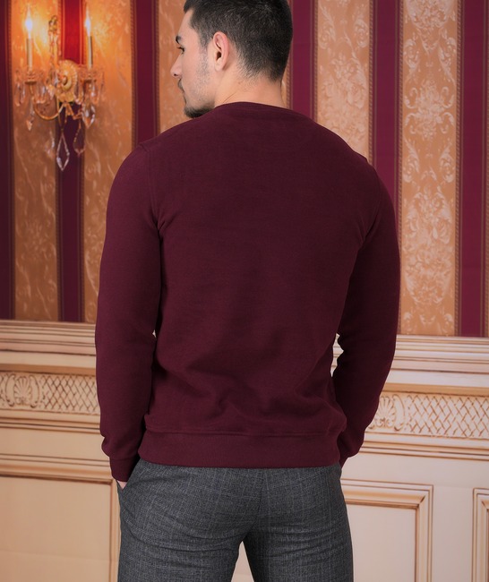 Мъжка блуза TW Plus цвят бордо